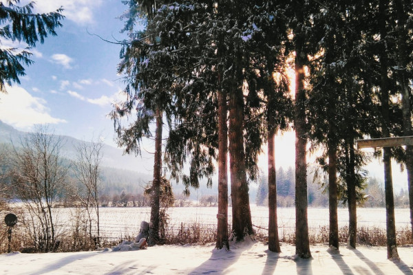 pexels-baskin-creative-studios-1480806 (Groß).jpg